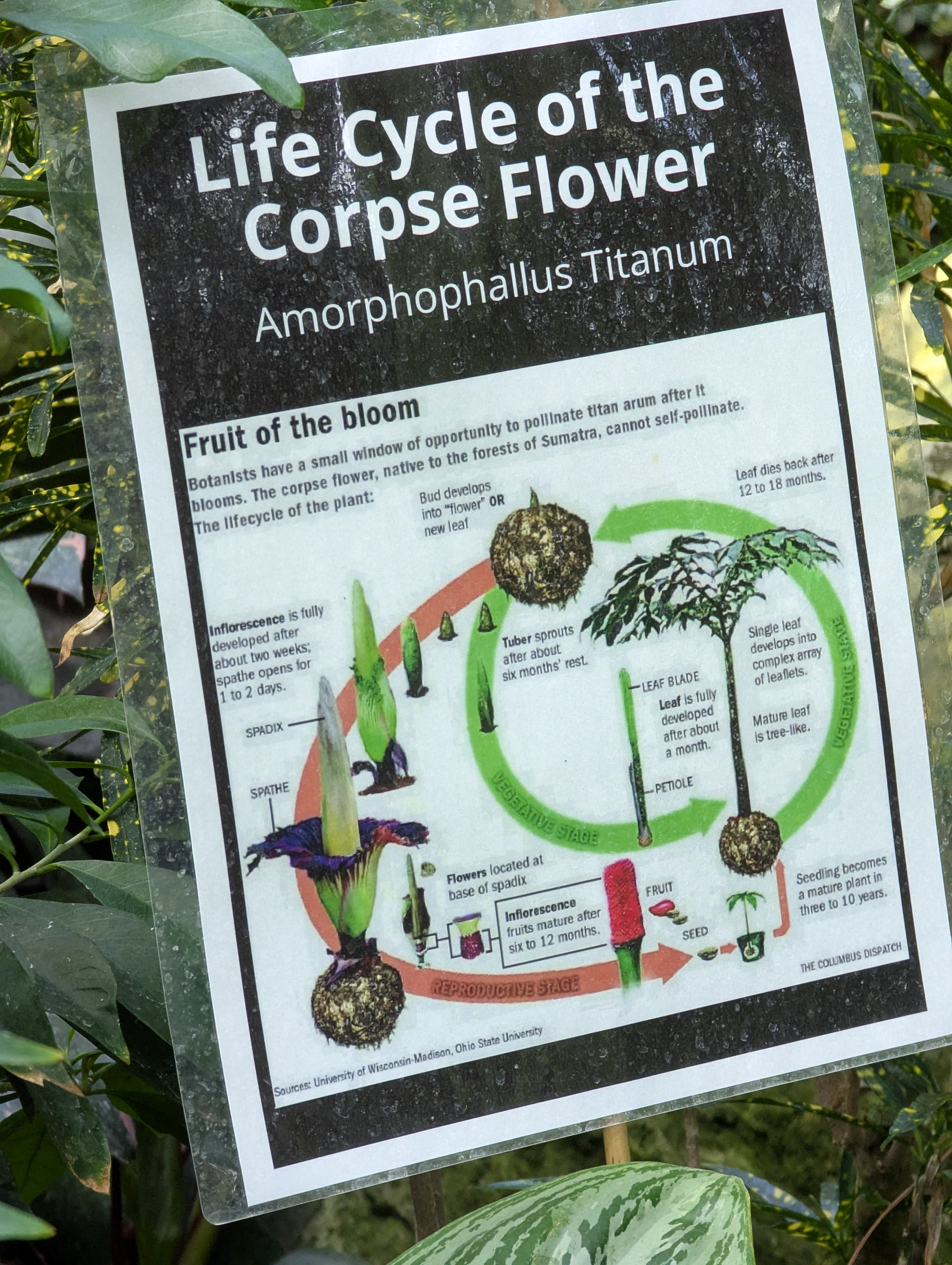 Birthday Trip to Canada, Edmonton, Pyramids, Muttart Observatory